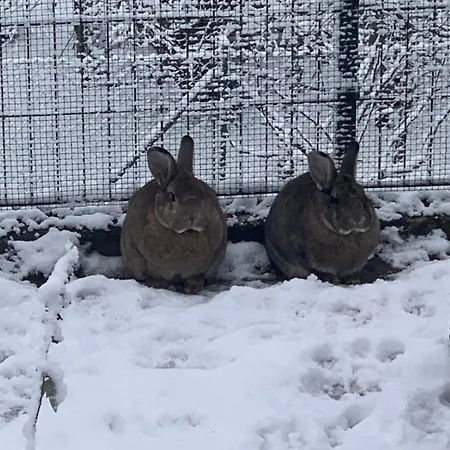 Quartier22 - Mit Altstadtblick Appartamento Schwäbisch Hall
